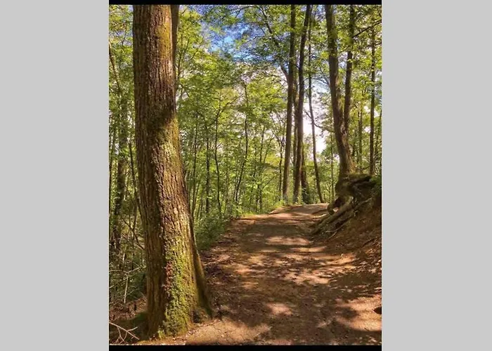 Downtown Gatlinburg Gem 102 - Walk To The Shops & Trails