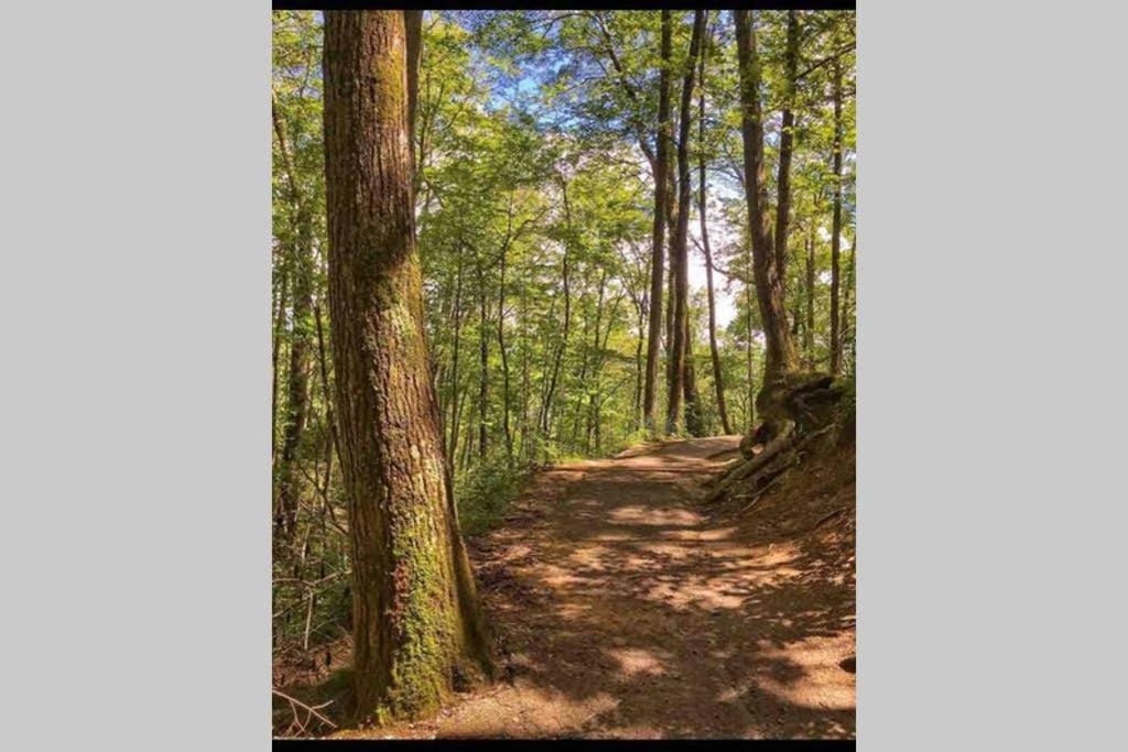 Downtown Gem 102 - Walk To The Shops & Trails Apartment Gatlinburg
