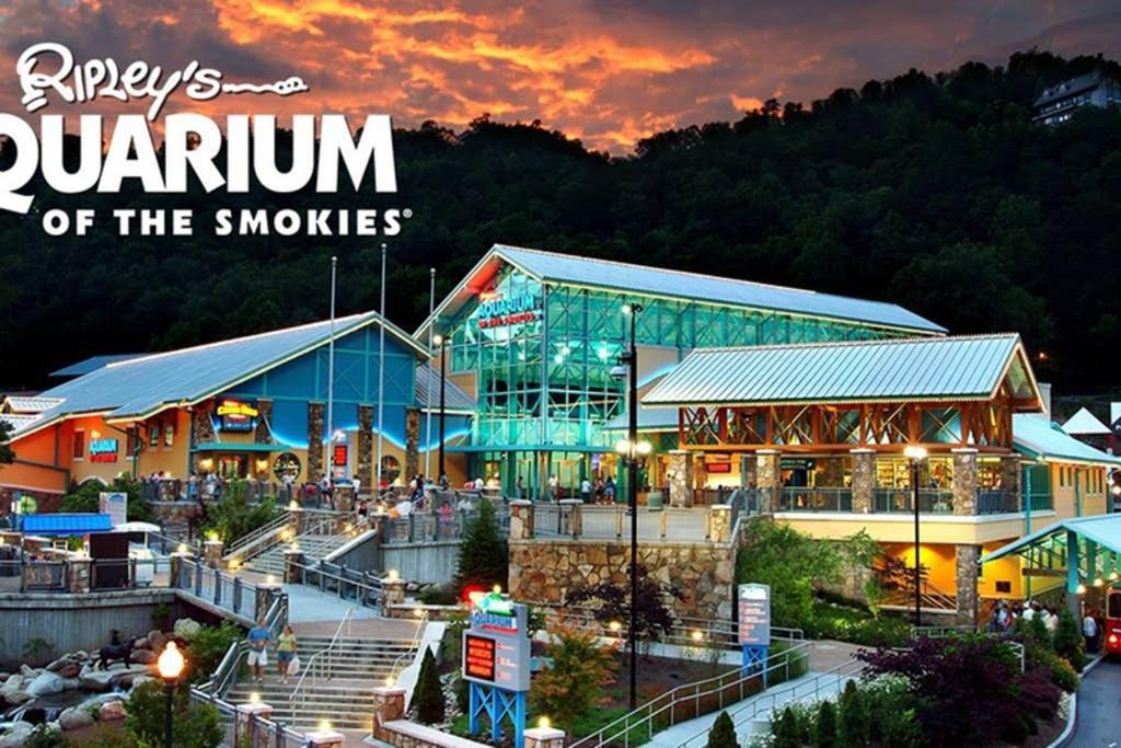Apartment Downtown Gem 102 - Walk To The Shops & Trails Gatlinburg